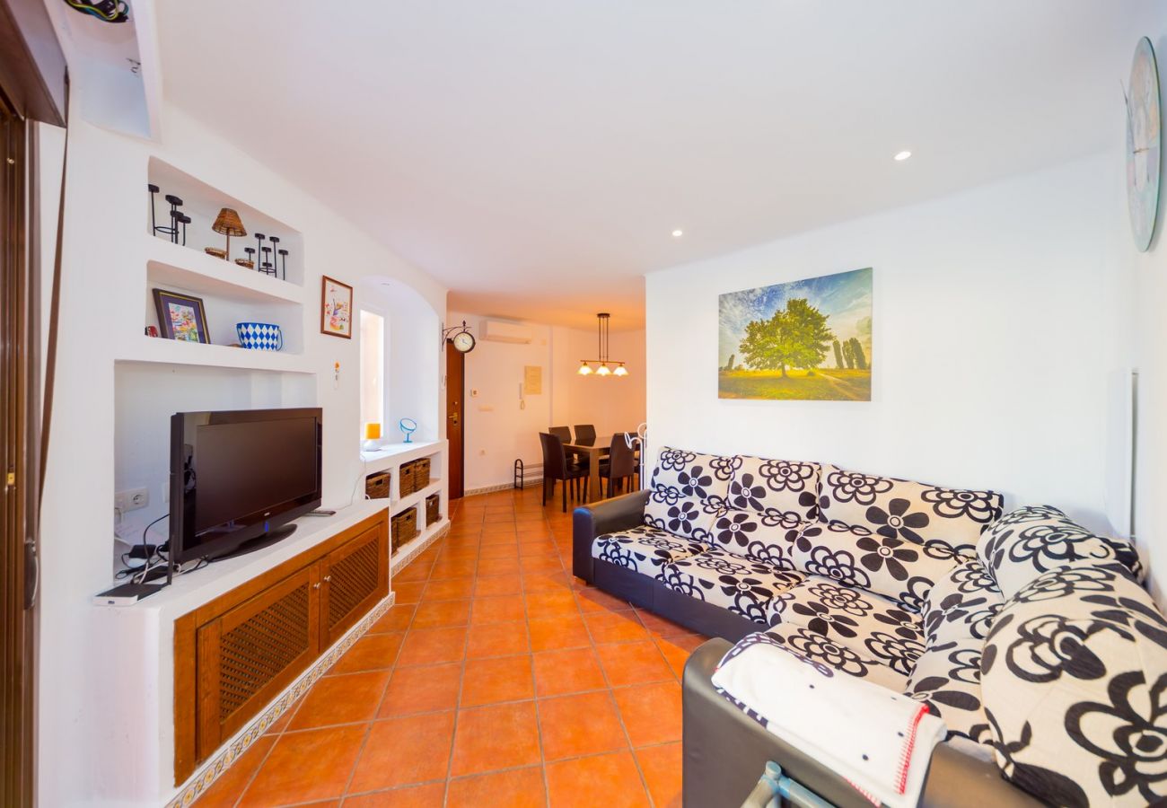 Apartment in Torrevieja - ID29
