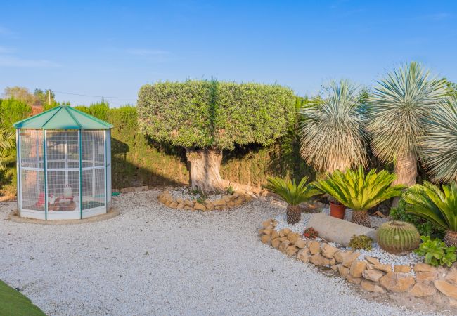 Cottage in Dolores - SunnyValley by Fidalsa Cottage in Dolores - SunnyValley by Fidalsa
