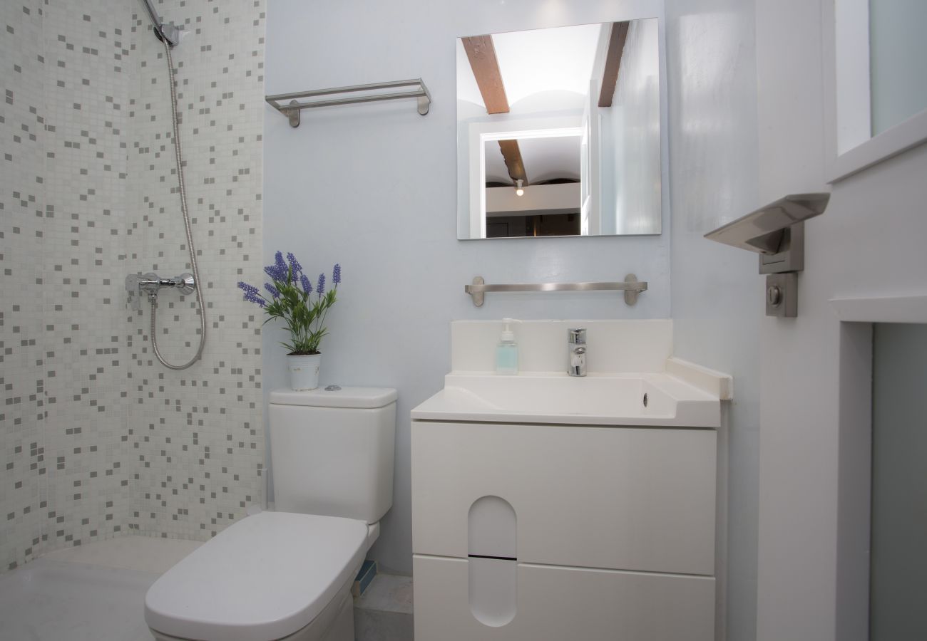 Apartment in Valencia / València - Salinas SR