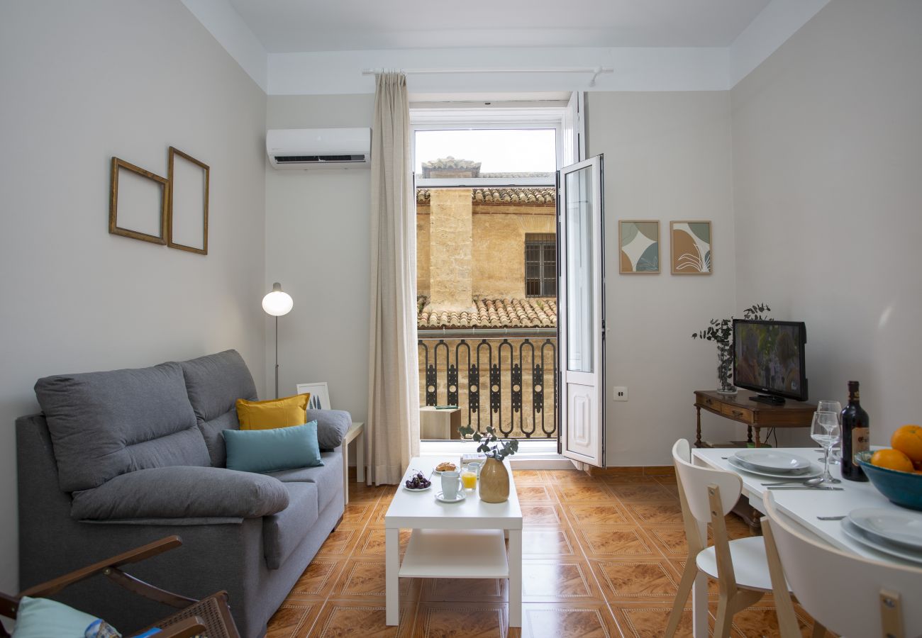 Apartment in Valencia / València - SEU VII SR