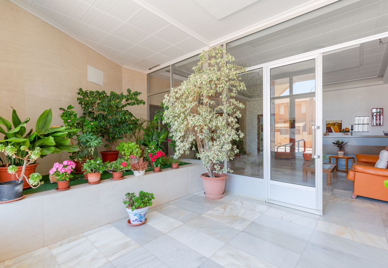 Apartment in Mar de Cristal - Sunnyside Manga by Fidalsa