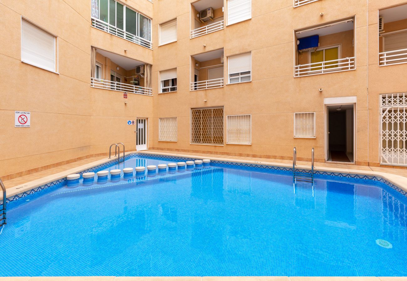 Apartment in Torrevieja - Prettysunny by Fidalsa