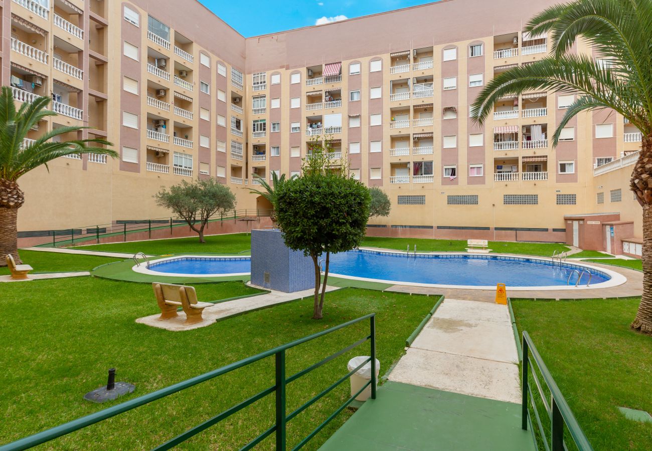 Apartment in Torrevieja - Tiny Tranquility by Fidalsa