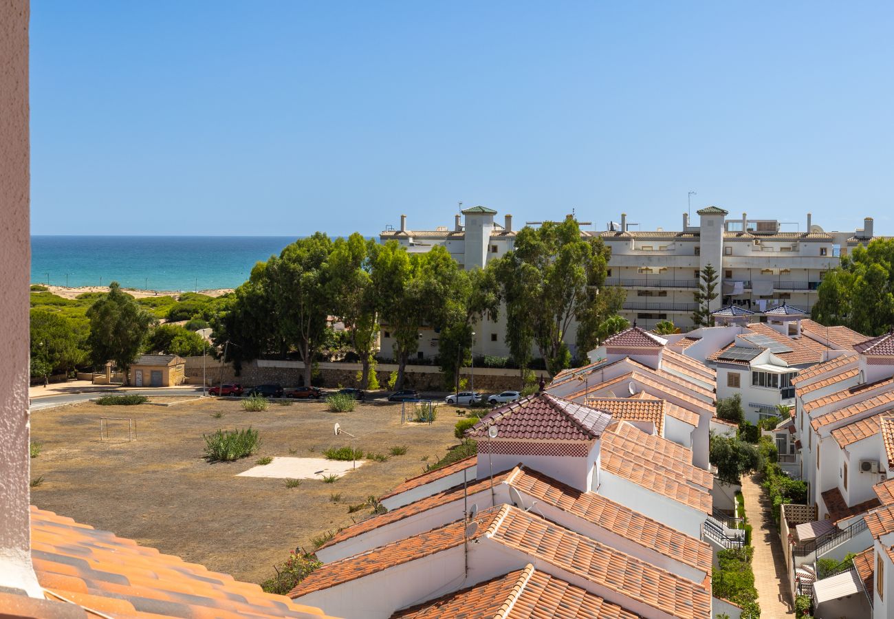 Apartment in La Mata - My Little Corner by Fidalsa
