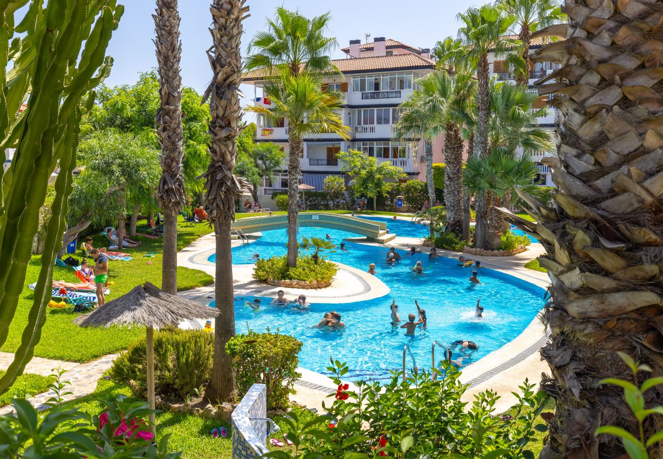 Apartment in La Mata - My Little Corner by Fidalsa