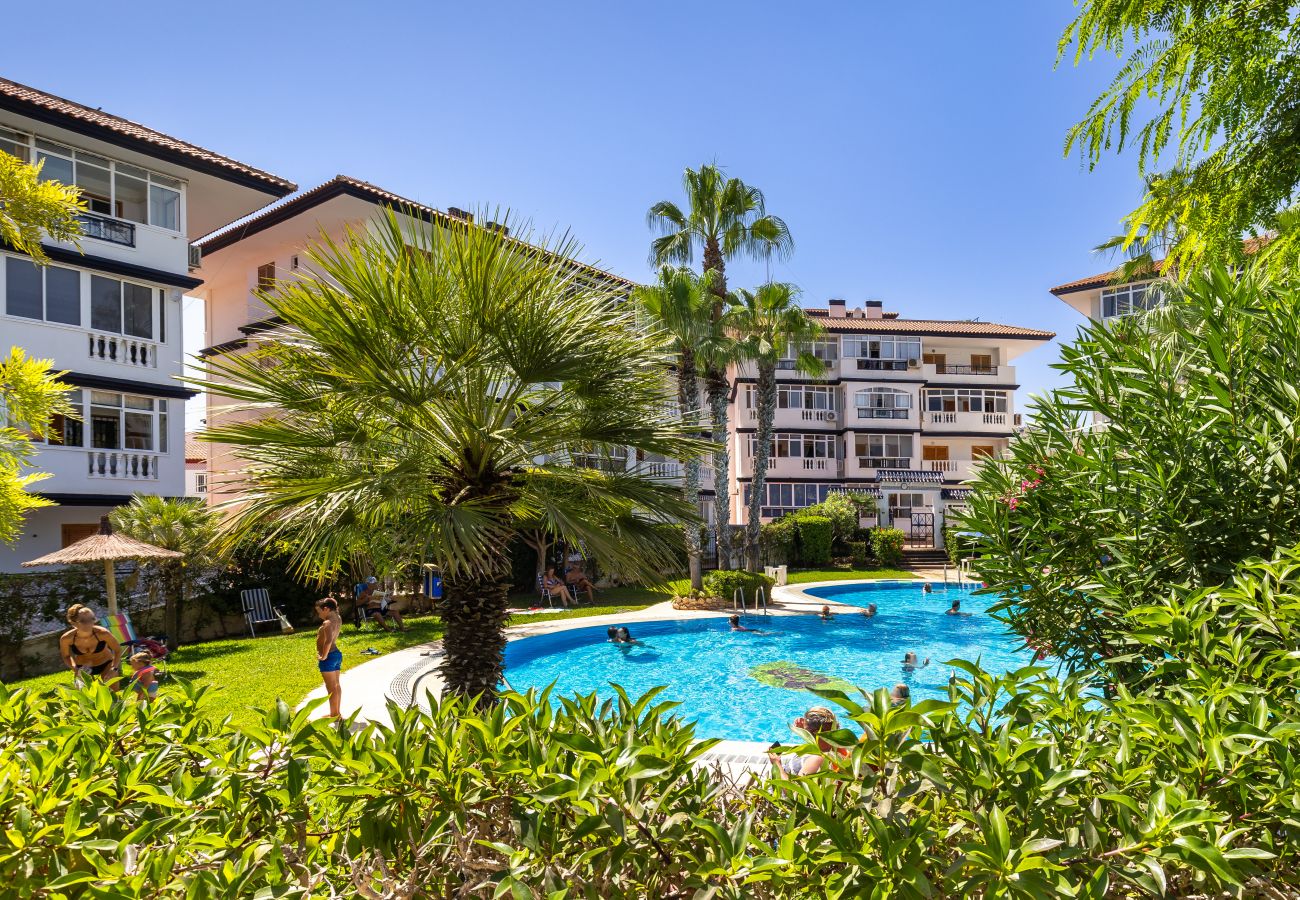 Apartment in La Mata - My Little Corner by Fidalsa