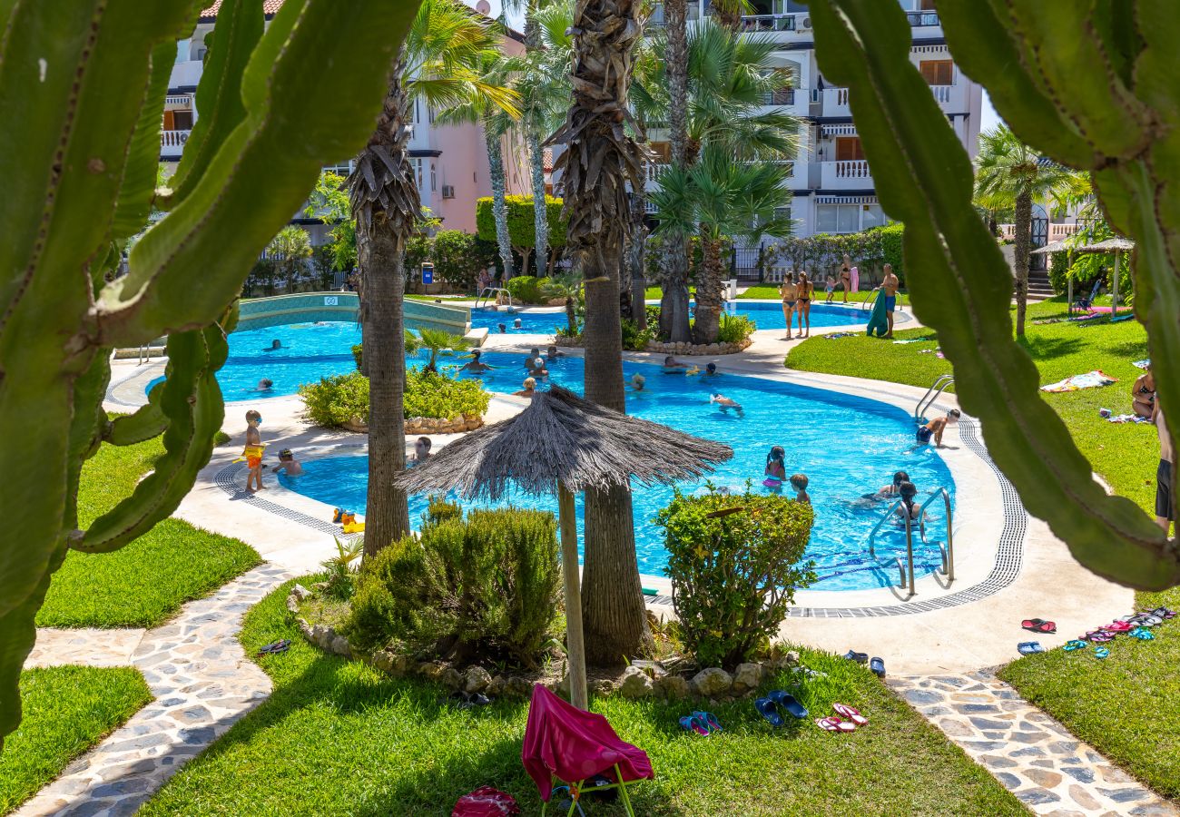Apartment in La Mata - My Little Corner by Fidalsa