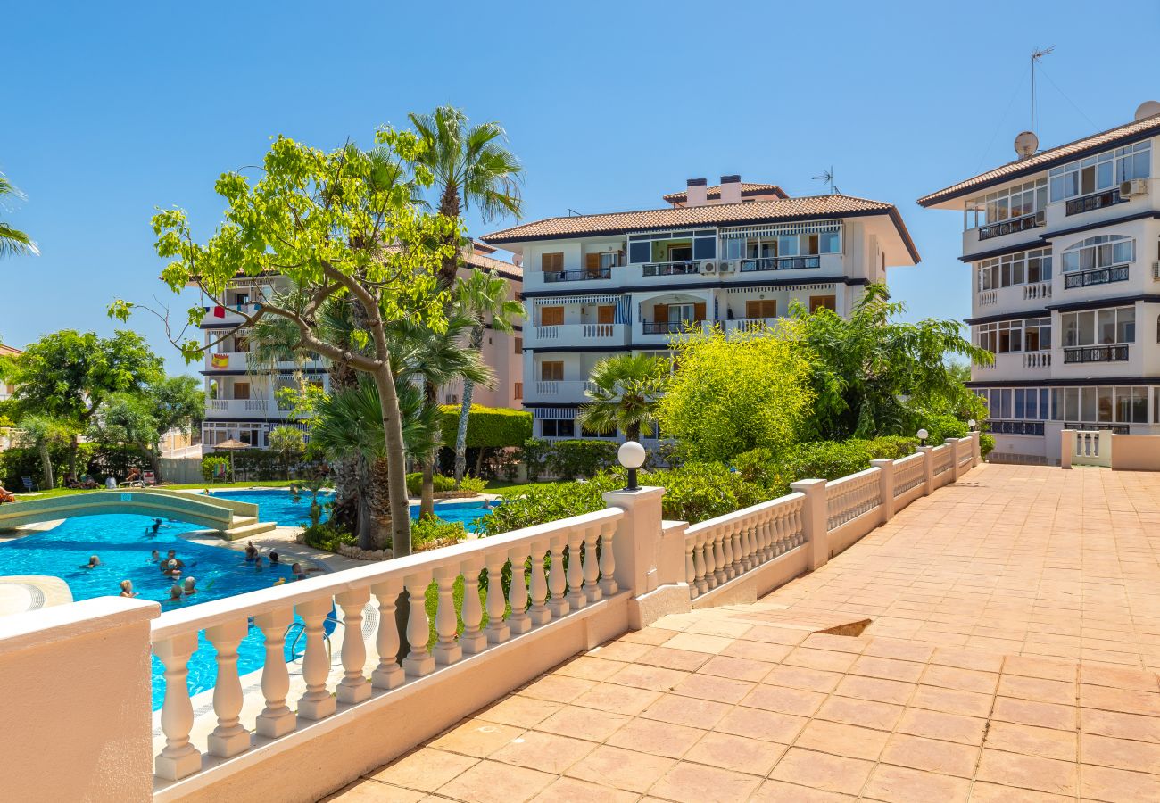 Apartment in La Mata - My Little Corner by Fidalsa