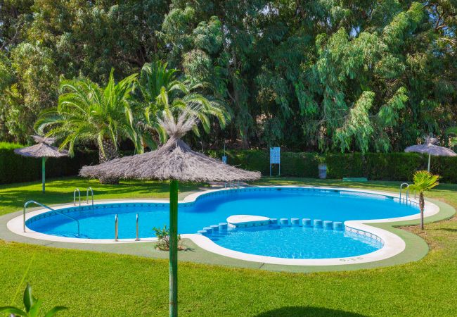 Bungalow/Linked villa in Guardamar - Coral SeaShell by Fidalsa