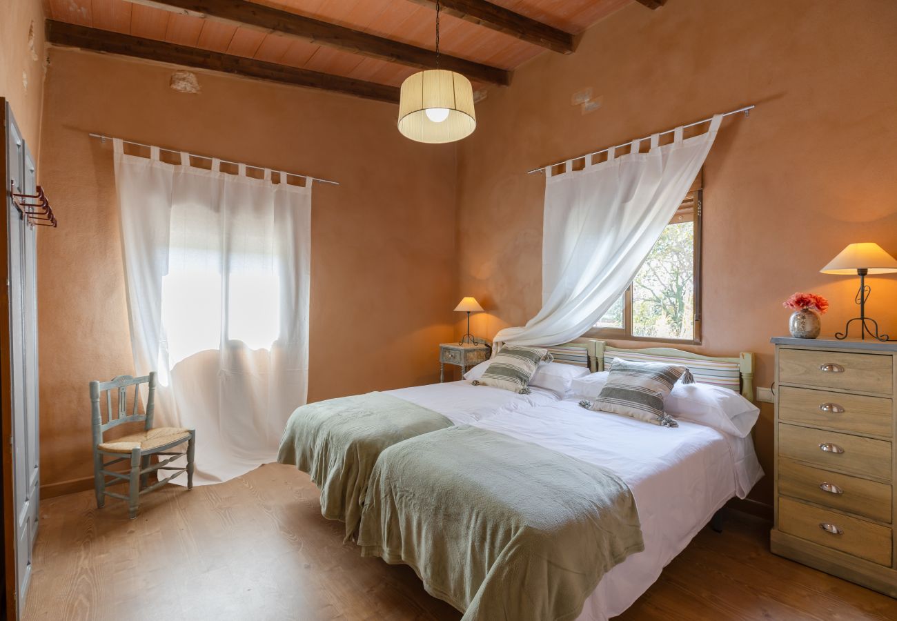 Villa in Elche - Historical Palms Villa by Fidalsa