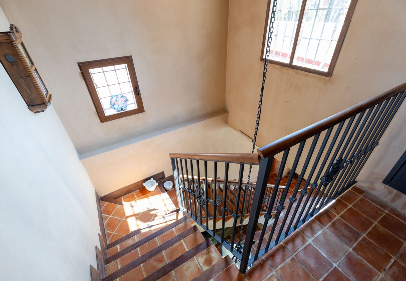 Villa in Elche - Historical Palms Villa by Fidalsa