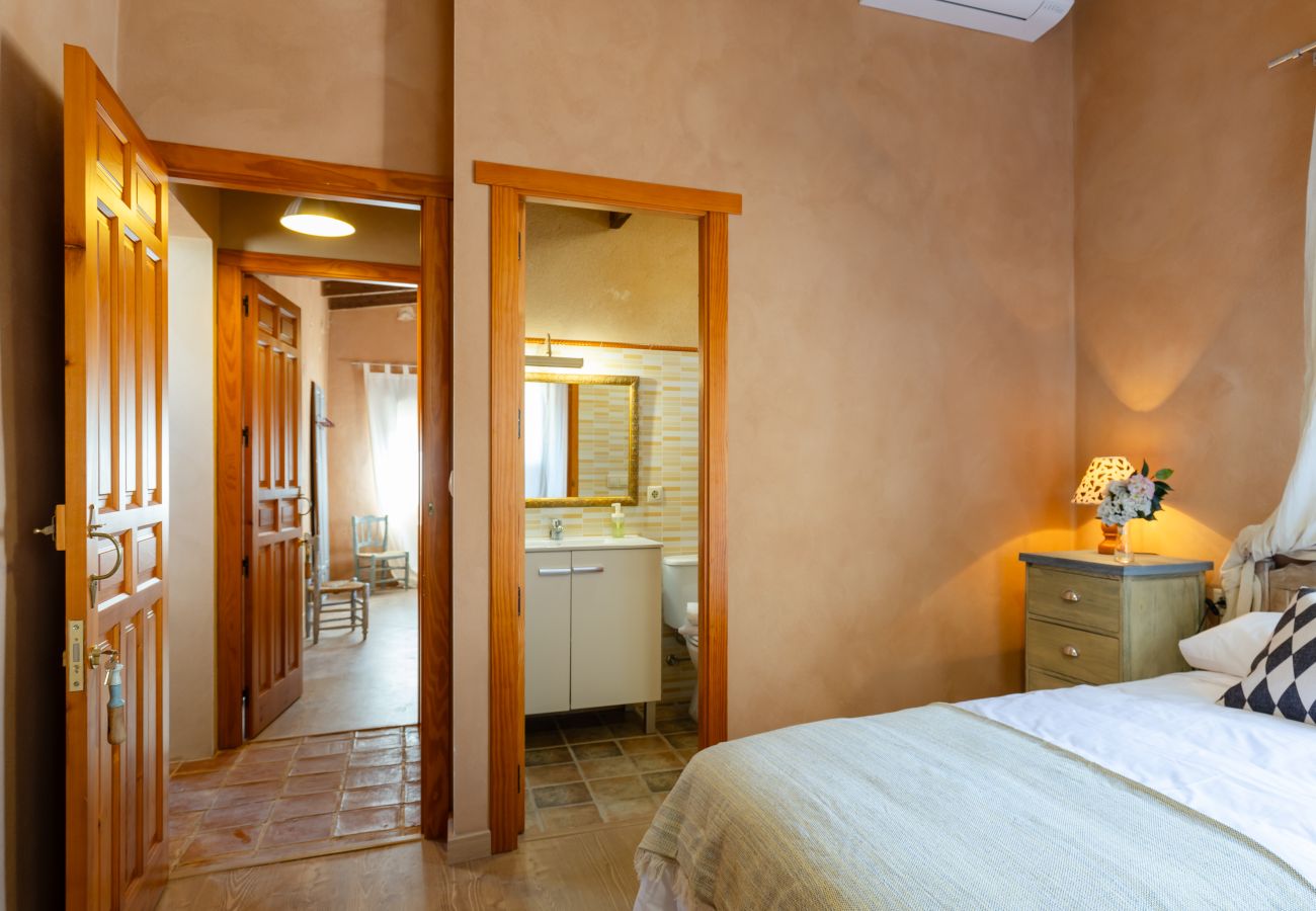 Villa in Elche - Historical Palms Villa by Fidalsa