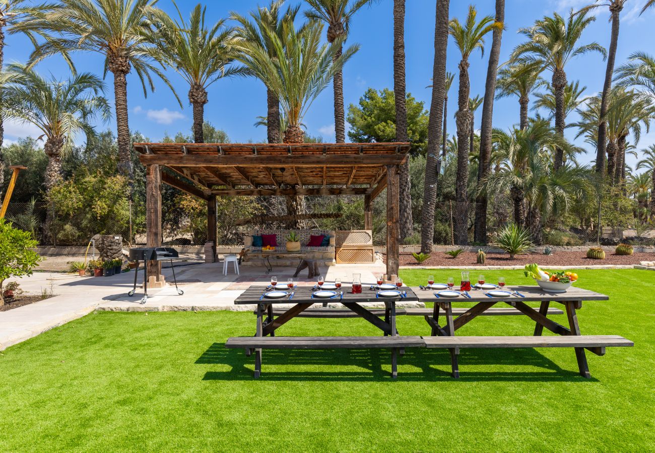 Villa in Elche - Historical Palms Villa by Fidalsa