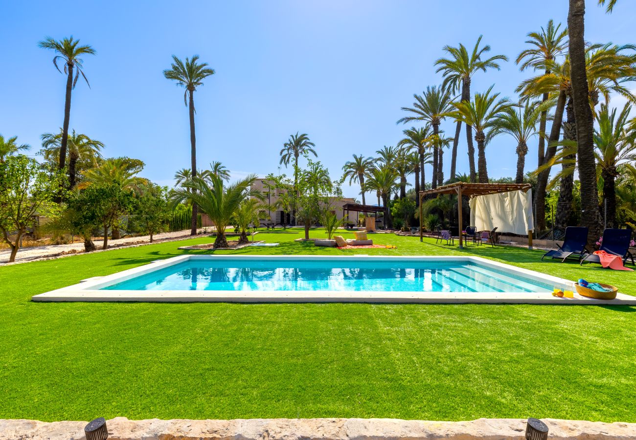 Villa in Elche - Historical Palms Villa by Fidalsa