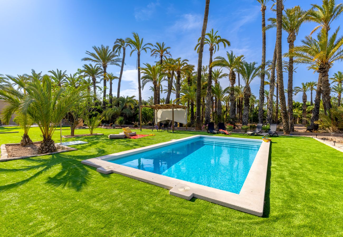 Villa in Elche - Historical Palms Villa by Fidalsa