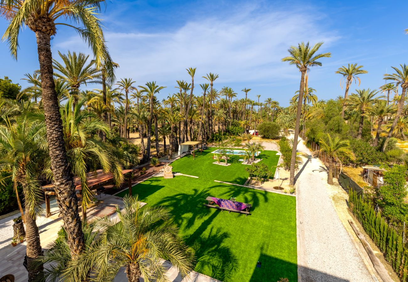 Villa in Elche - Historical Palms Villa by Fidalsa