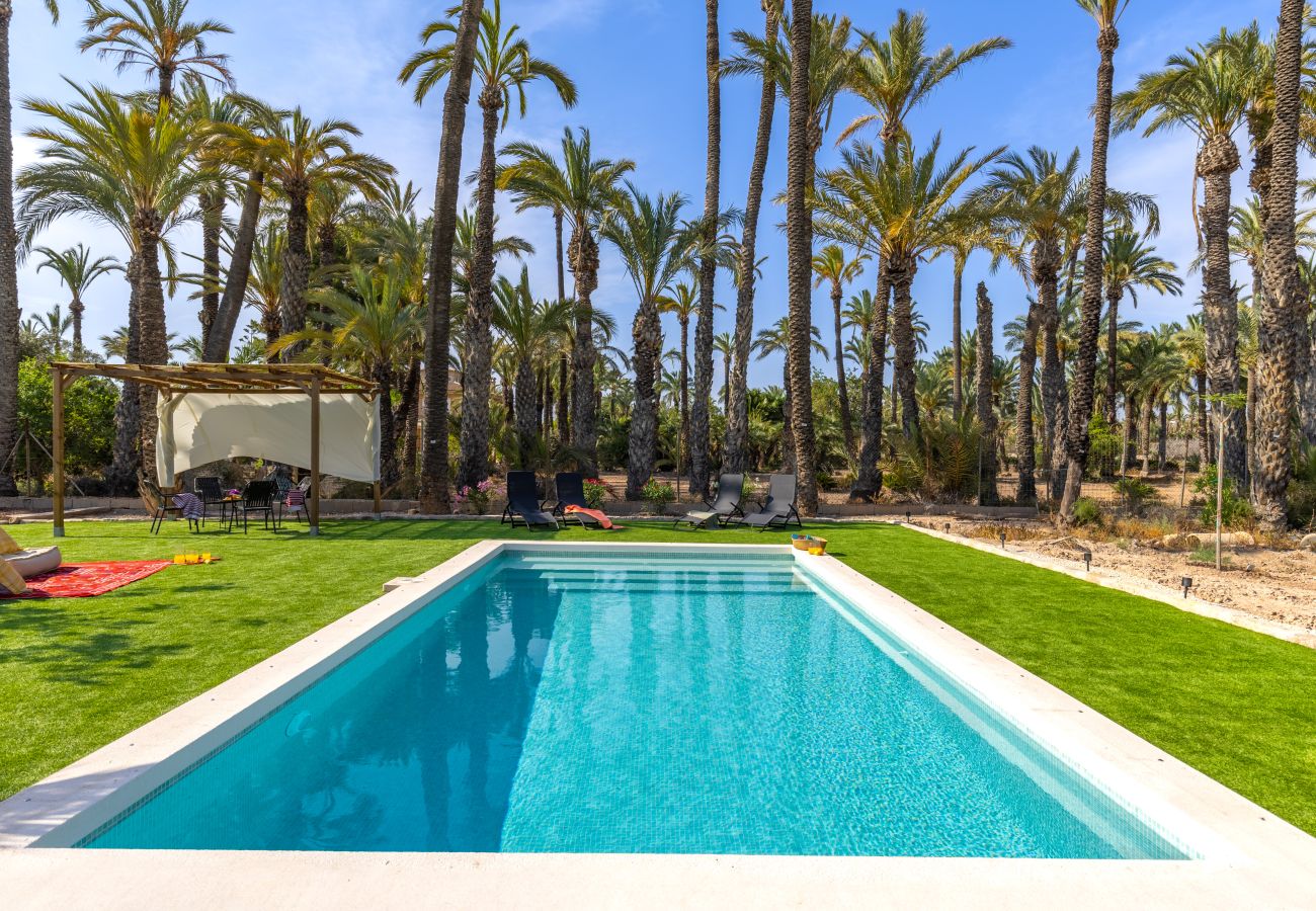 Villa in Elche - Historical Palms Villa by Fidalsa