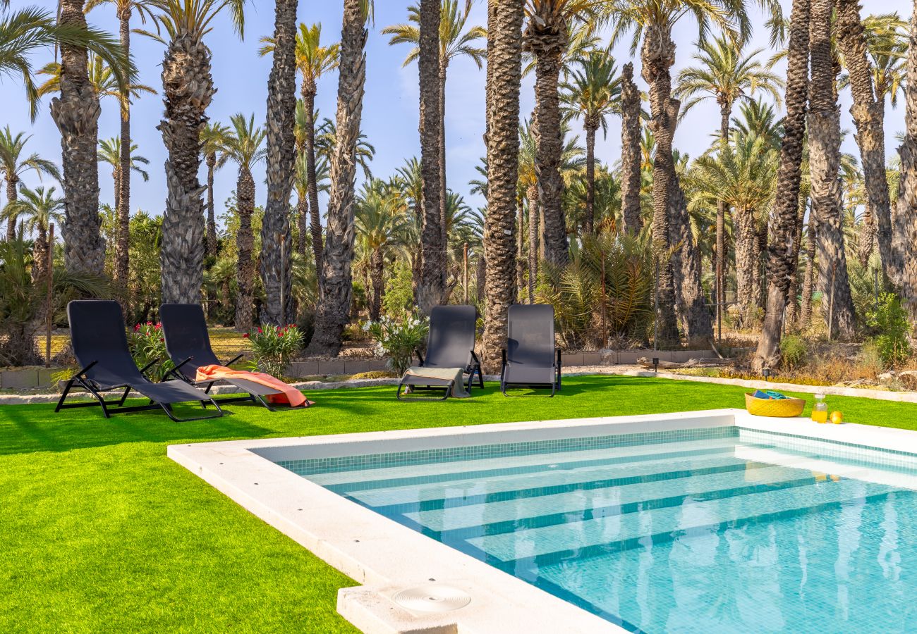 Villa in Elche - Historical Palms Villa by Fidalsa