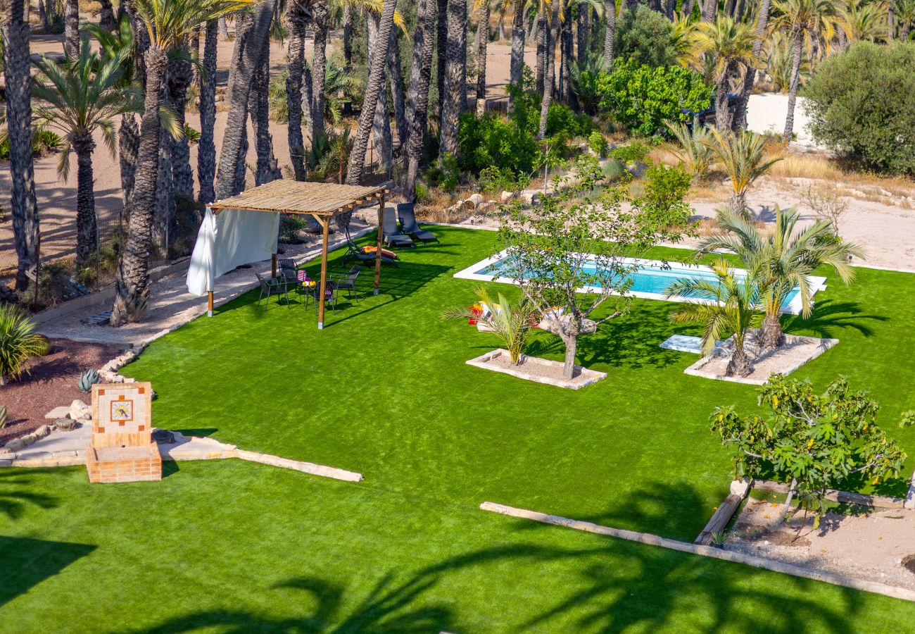 Villa in Elche - Historical Palms Villa by Fidalsa