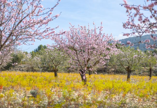 Villa in Ibi - Rustic Escape by Fidalsa Villa in Ibi - Rustic Escape by Fidalsa