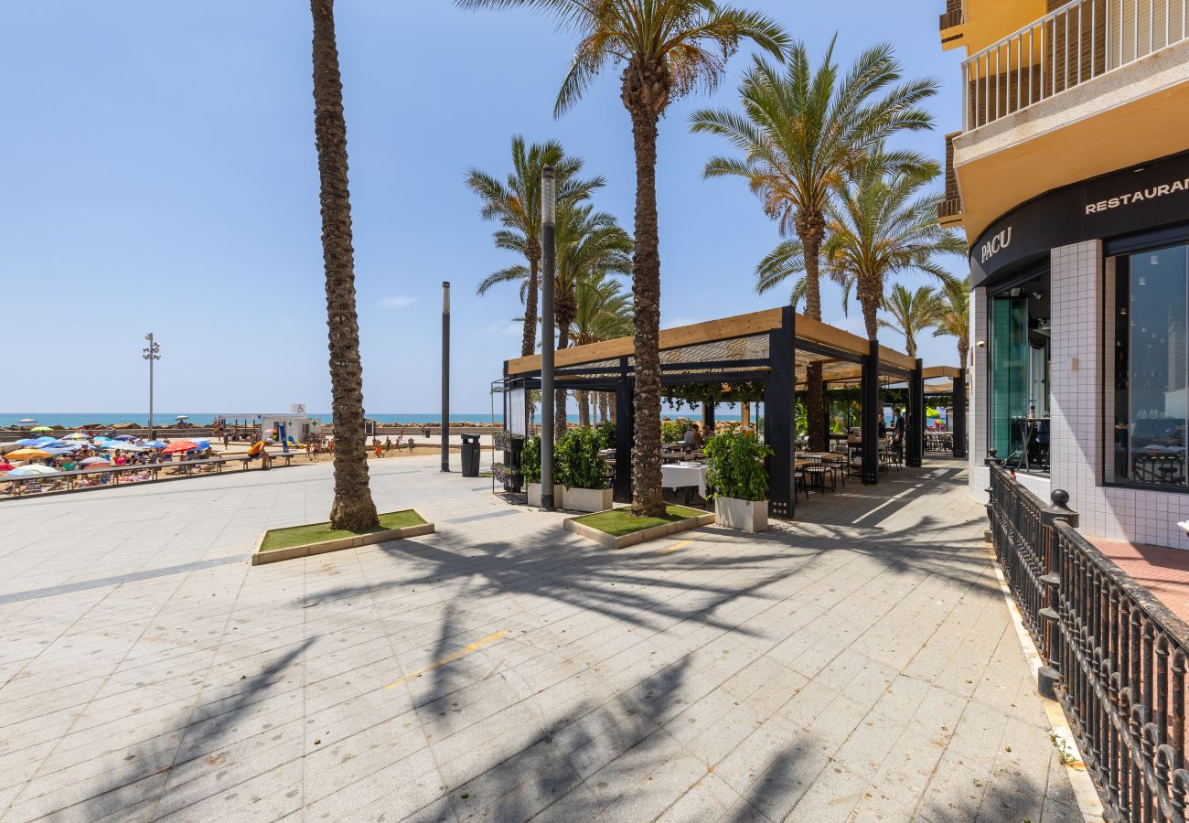 Apartment in Torrevieja - Penthouse Morning Star by Fidalsa