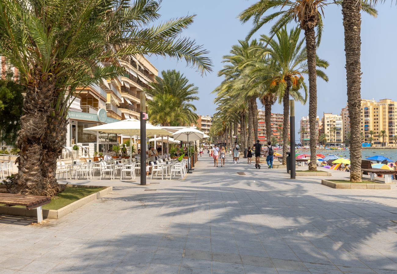 Apartment in Torrevieja - Penthouse Morning Star by Fidalsa