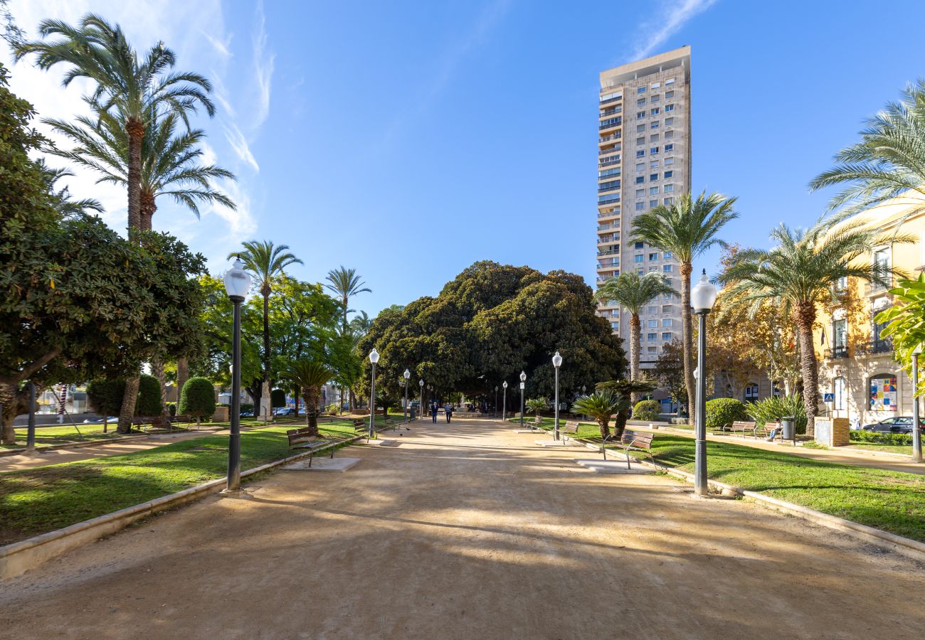 Apartment in Alicante / Alacant - City and Beach by Fidalsa