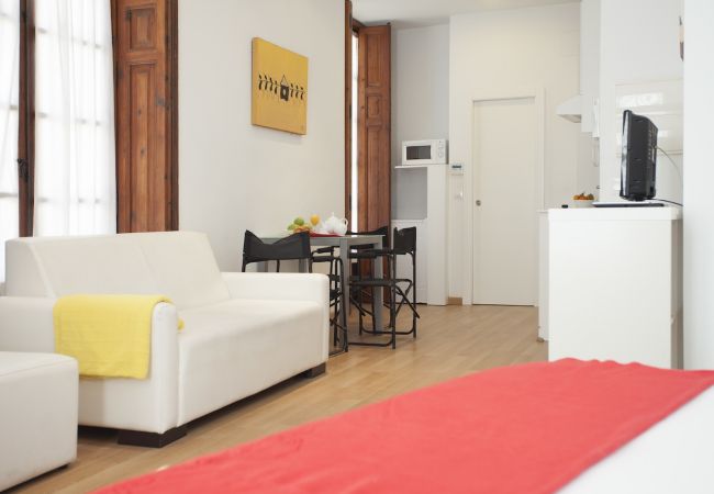 Aparthotel à Valence / Valencia - Bolseria I