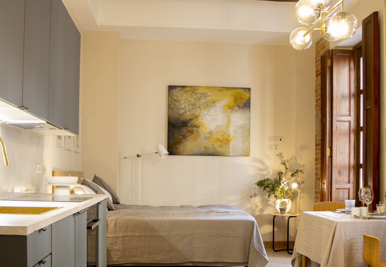 Studio à Valence / Valencia - Santa Cruz 9 III