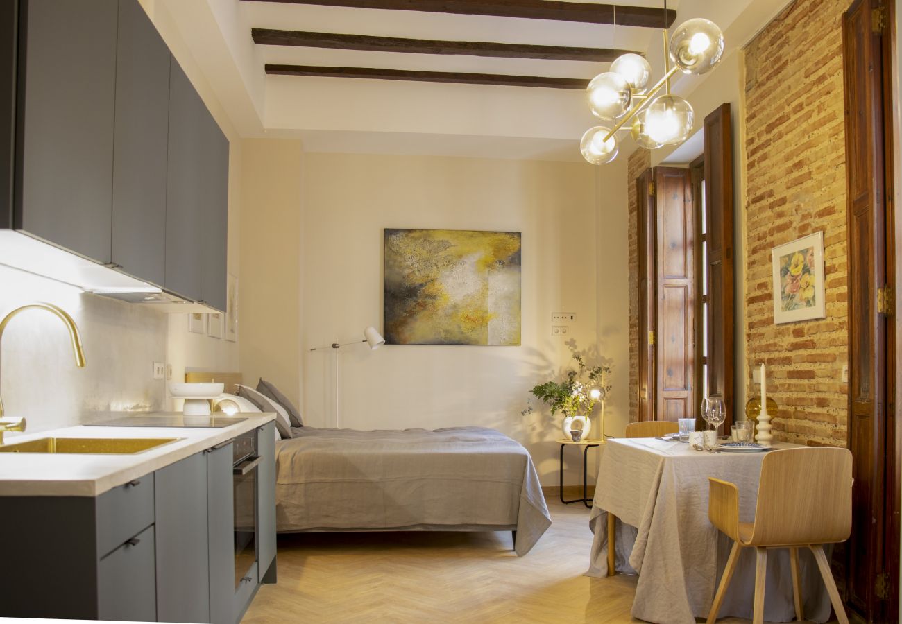 Studio à Valence / Valencia - Santa Cruz 9 III