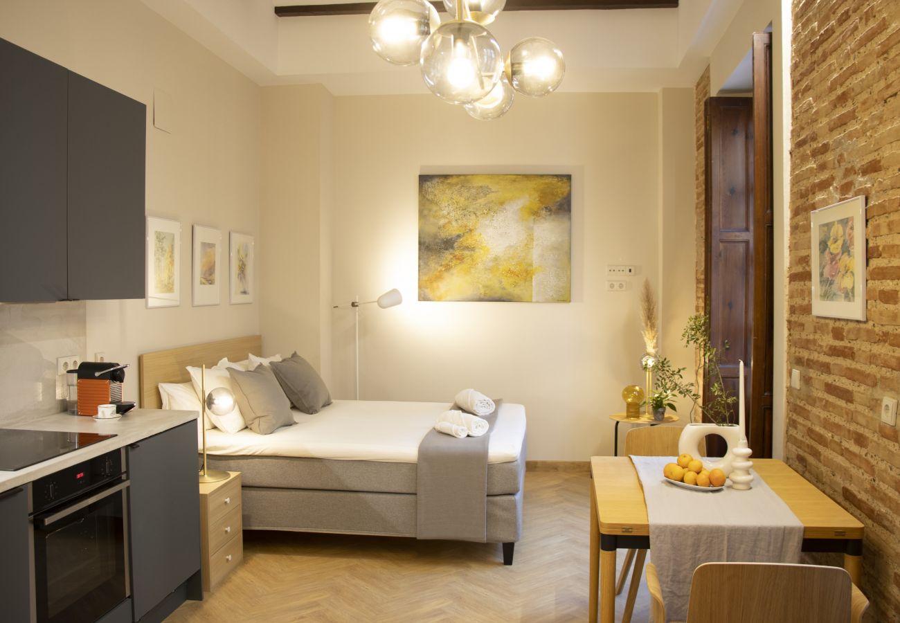 Studio à Valence / Valencia - Santa Cruz 9 III