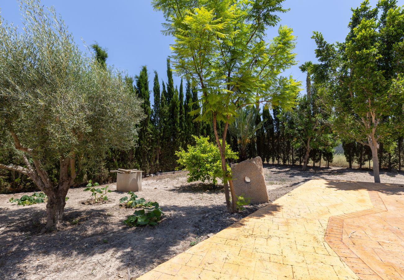 Villa à Catral - Blue Haven by Fidalsa