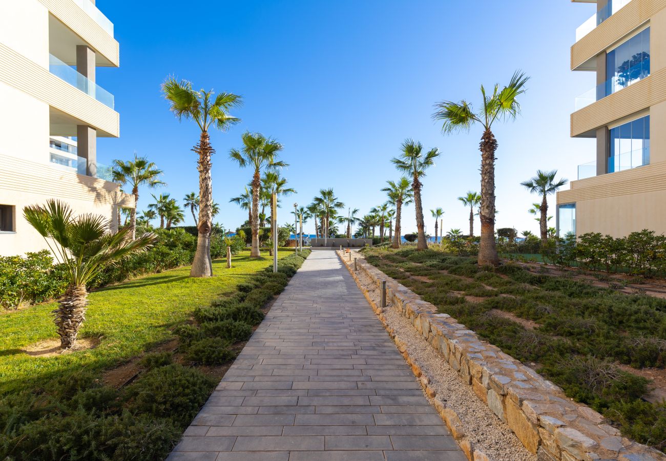 Апартаменты на Торревьеха / Torrevieja - Fidalsa Paradise Sea Punta Prima