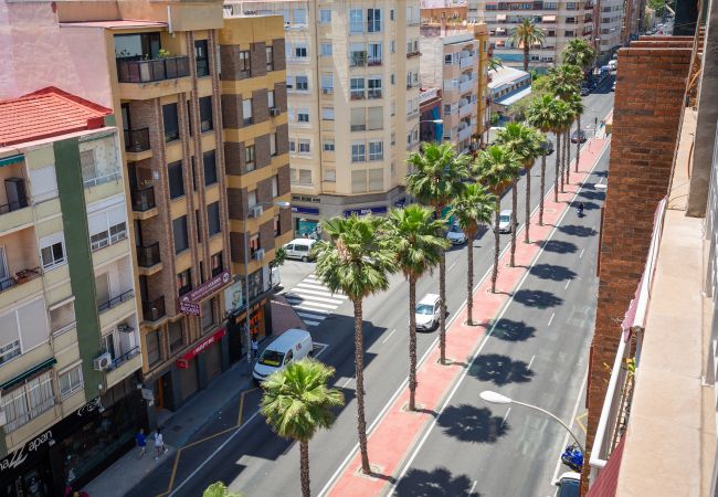 Апартаменты на Аликанте город / Alicante - Fidalsa Penthouse Urban & Sea View