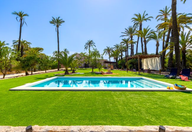 Вилла на Elche - Historical Palms Villa by Fidalsa Вилла на Elche - Historical Palms Villa by Fidalsa