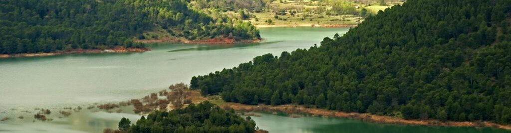 naturaleza-rio-segura