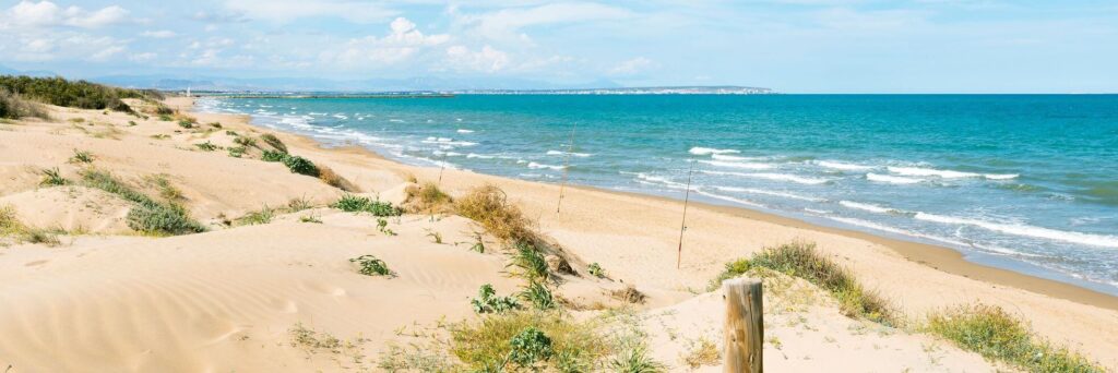 dunas-guardamar-del-segura