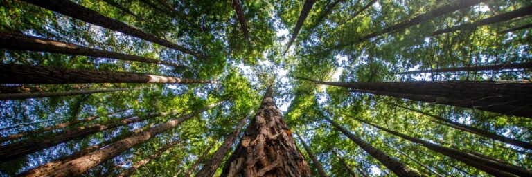 Alojamientos-premium-costa-blanca