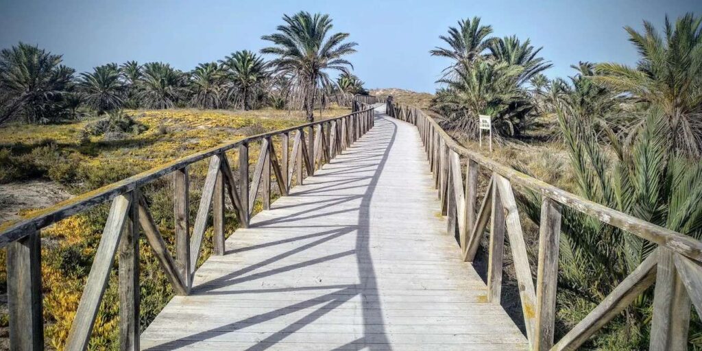 Parque-Alfonso-XIII-guardamar-del-segura