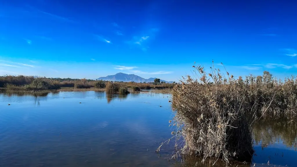 Parc Natural del Fondo